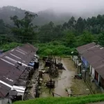 ഷെയ്ഖ് ഹസീന രക്ഷപ്പെട്ടത് ഇന്ത്യയിലേക്ക്?, ബംഗ്ലാദേശിൽ ഇടക്കാല സൈനിക ഭരണം