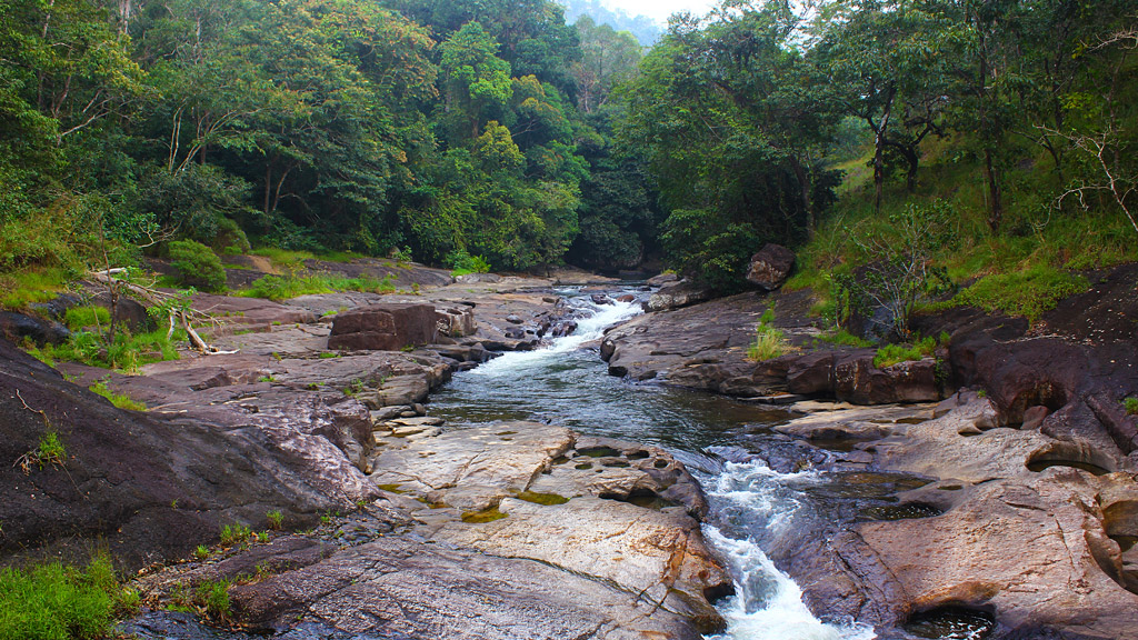 തിരുവനന്തപുരം നഗരത്തിന്റെ…….നീരൊഴുക്ക്